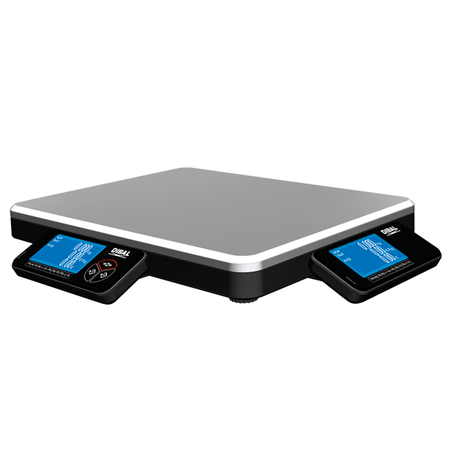DPOS-400_P_2-DISP1